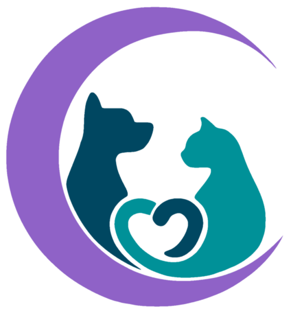 Best Veterinary Hospital In Encinitas, CA 92024 Tell Tail Moonlight Veterinary Center