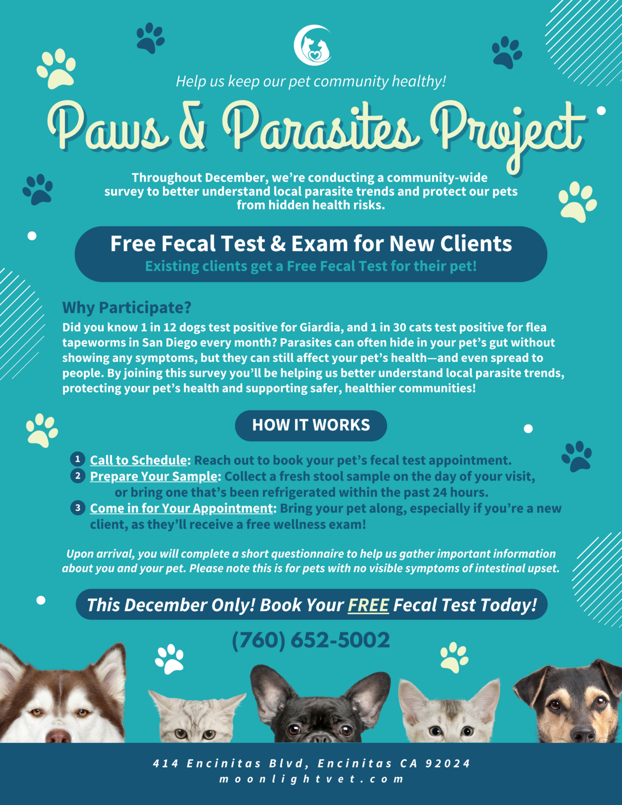 Paws parasites project tell tail moonlight veterinary center