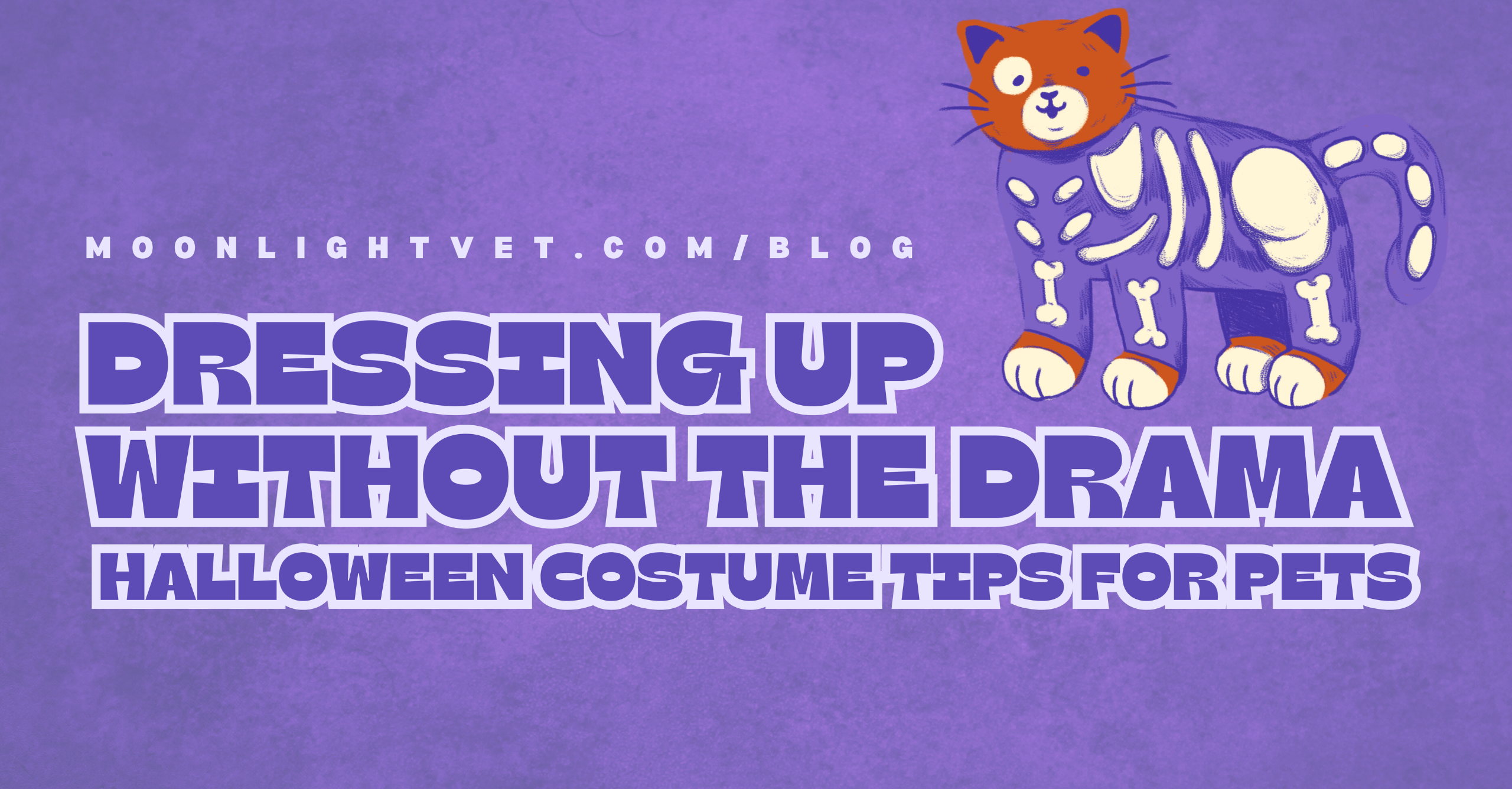 Dressing Up Without the Drama: Halloween Costume Tips for Pets